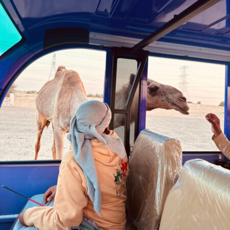 Al-Asouf Bus Tour in the Sports Village