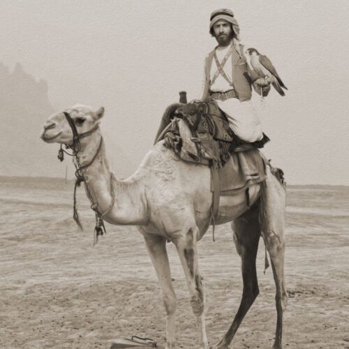 Untitled design (3) (1)