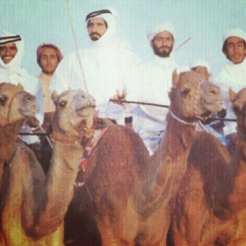 WhatsApp Image 2026-01-14 at 10.27.09 AM (1)