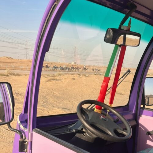 WhatsApp Image 2026-01-29 at 12.00.08 PM