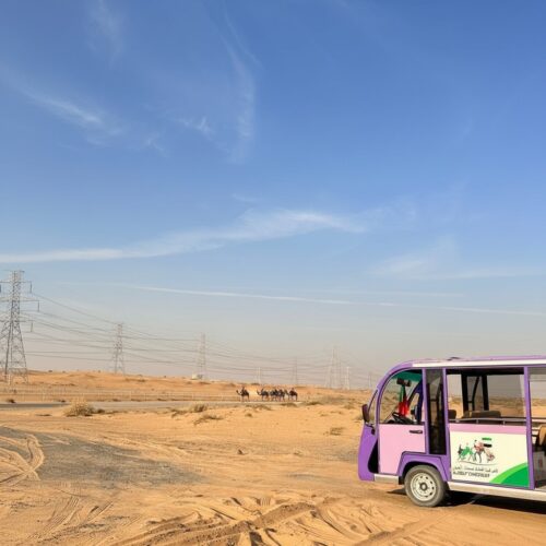 WhatsApp Image 2026-01-29 at 12.00.09 PM