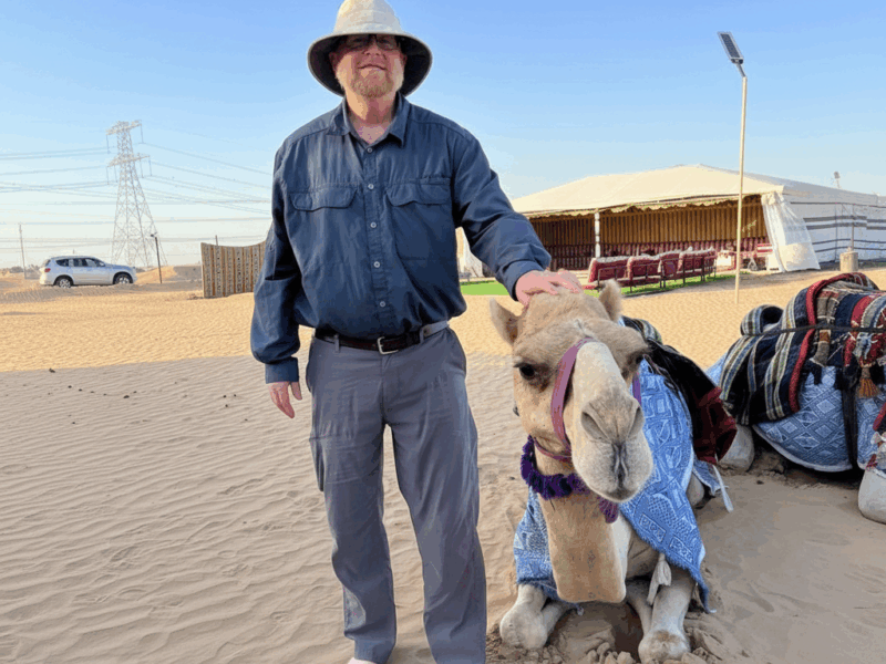 الصورة الرئيسية للفقرة