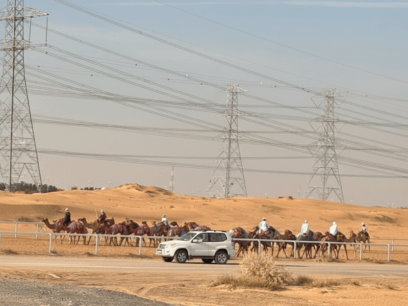 الصورة الرئيسية للفقرة